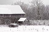 Winter Barnyard_32406